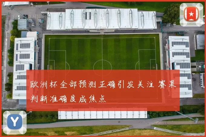 欧洲杯全部预测正确引发关注 赛果判断准确度成焦点