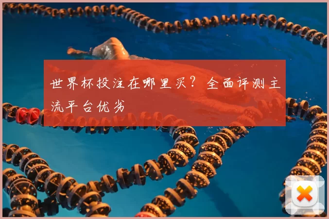 世界杯投注在哪里买？全面评测主流平台优劣