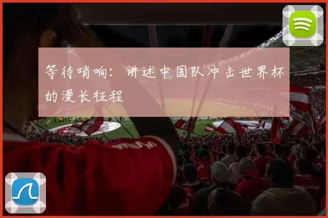 等待哨响:讲述中国队冲击世界杯的漫长征程