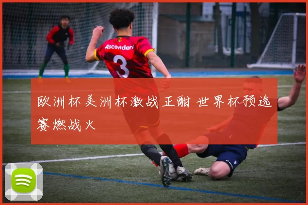 欧洲杯美洲杯激战正酣 世界杯预选赛燃战火