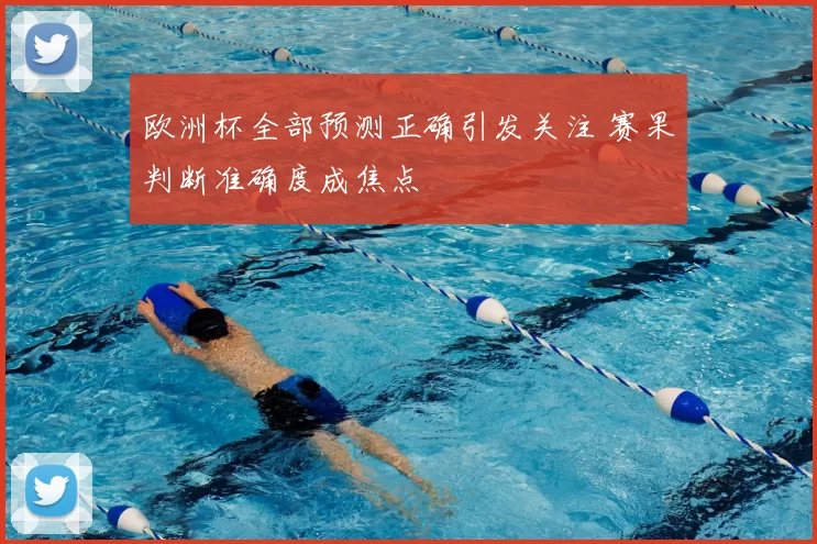 欧洲杯全部预测正确引发关注 赛果判断准确度成焦点