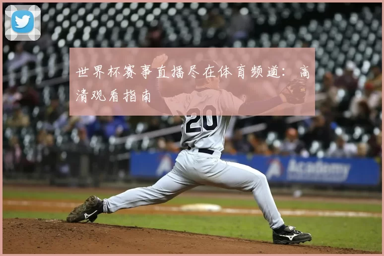 世界杯赛事直播尽在体育频道：高清观看指南