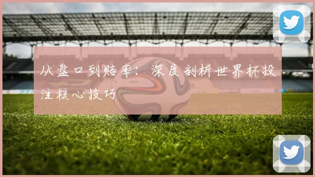 从盘口到赔率：深度剖析世界杯投注核心技巧