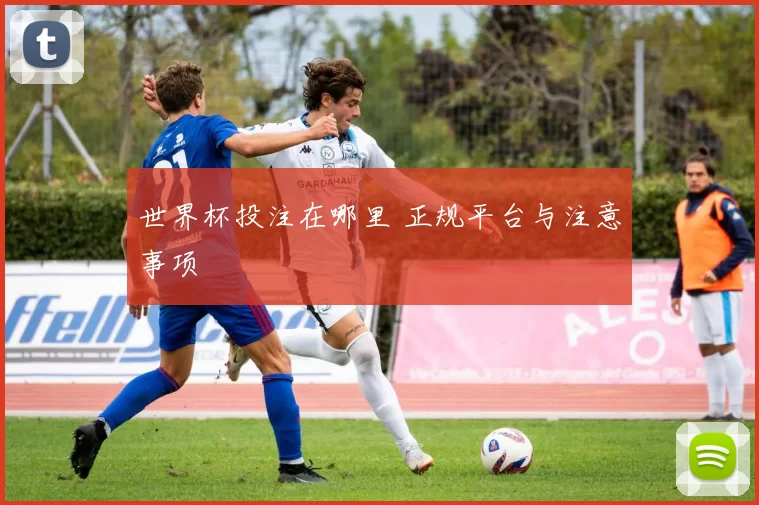 世界杯投注在哪里 正规平台与注意事项
