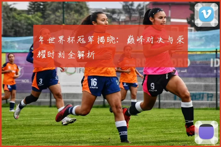 年世界杯冠军揭晓：巅峰对决与荣耀时刻全解析