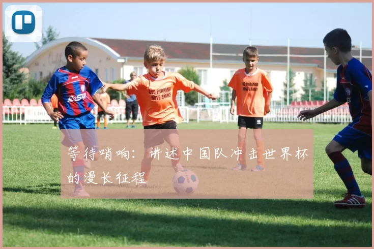 等待哨响：讲述中国队冲击世界杯的漫长征程