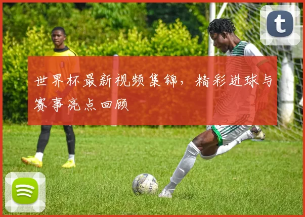 世界杯最新视频集锦，精彩进球与赛事亮点回顾