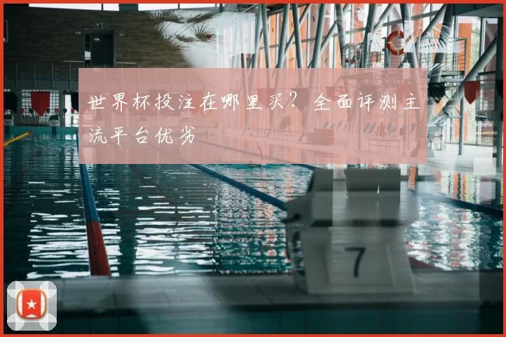 世界杯投注在哪里买？全面评测主流平台优劣